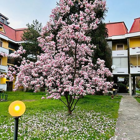 Il Contrabbasso Cremona Ngoại thất bức ảnh